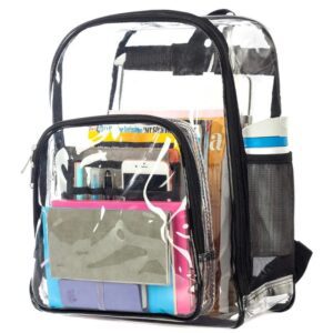 Clear Backpack